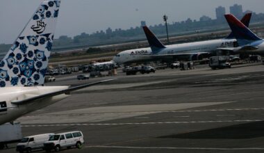 JFK-bound flight derailed by coyote strike – NBC New York