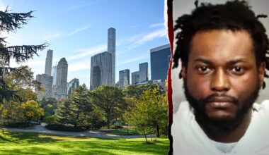 NYC parolee allegedly attempts rape in Central Park, bystanders intervene