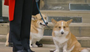 What Happened to the Queen Elizabeth's beloved Corgis?