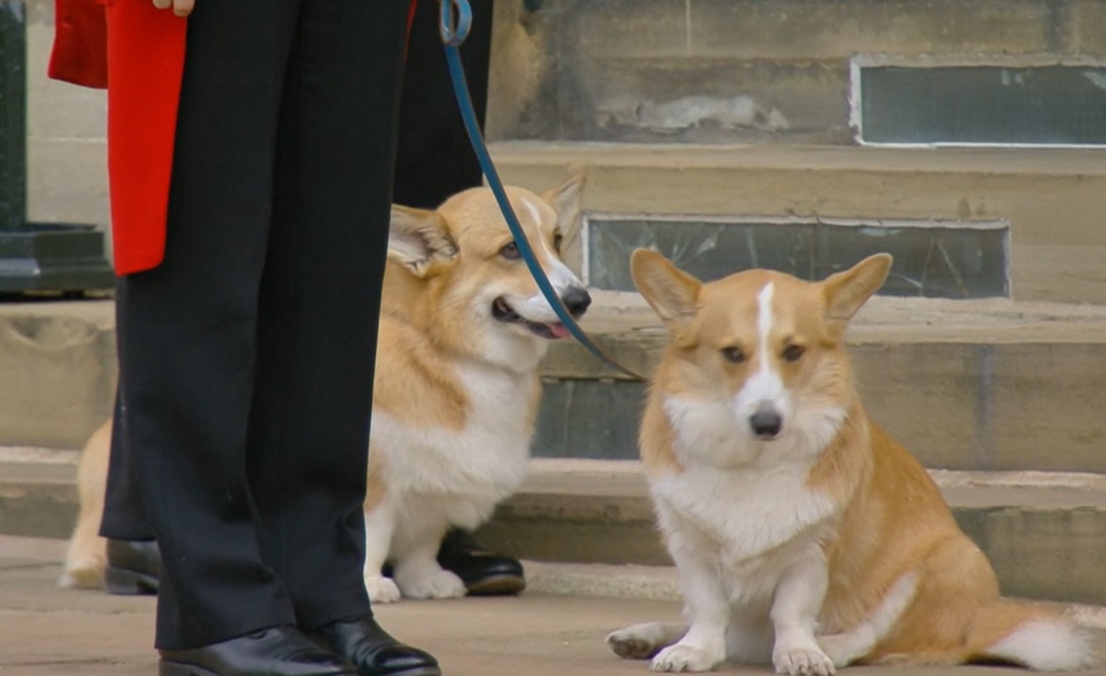 What Happened to the Queen Elizabeth's beloved Corgis?
