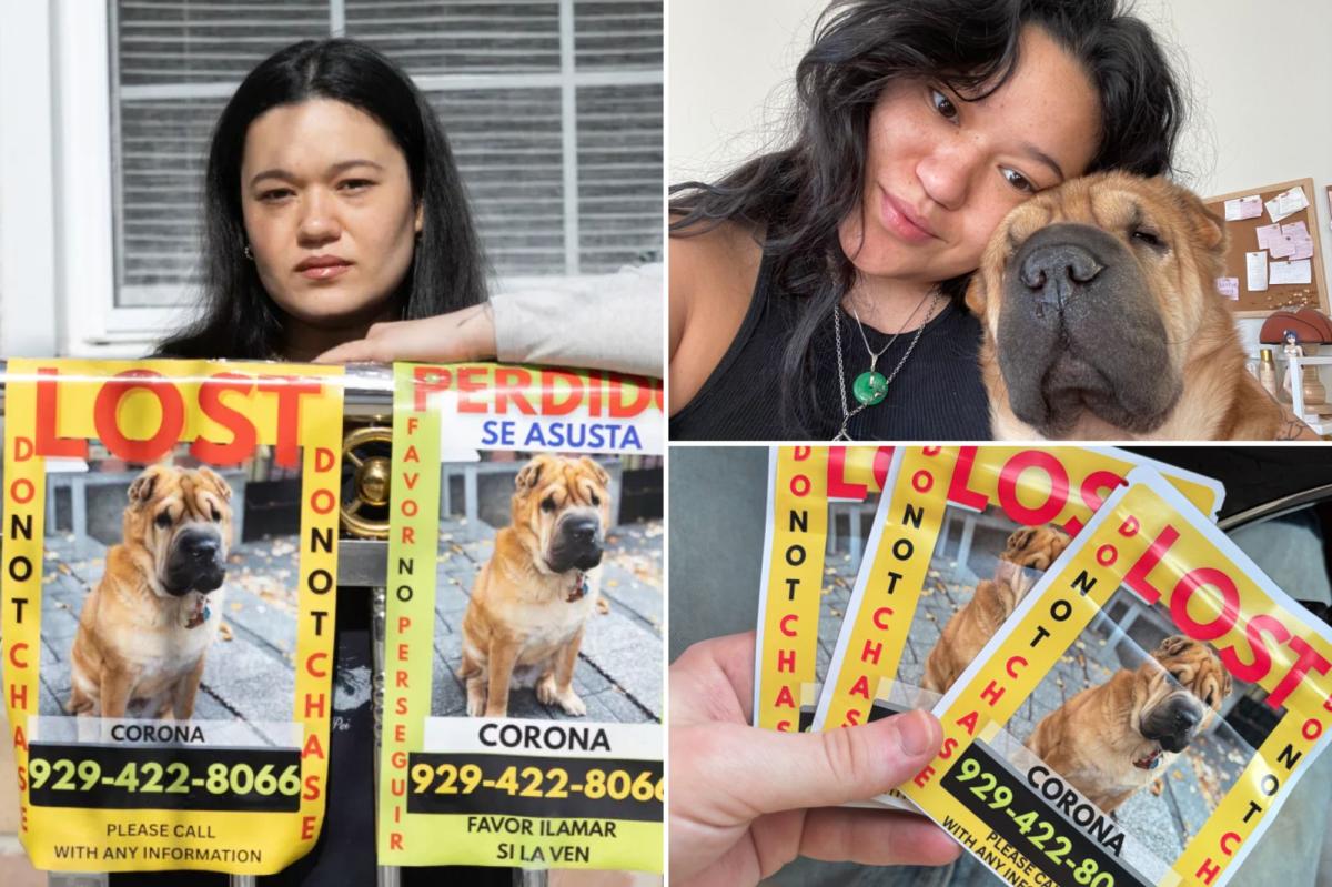 NYC dog owner puts missing pup on weed baggies, sparking buzzkill stoner hoax