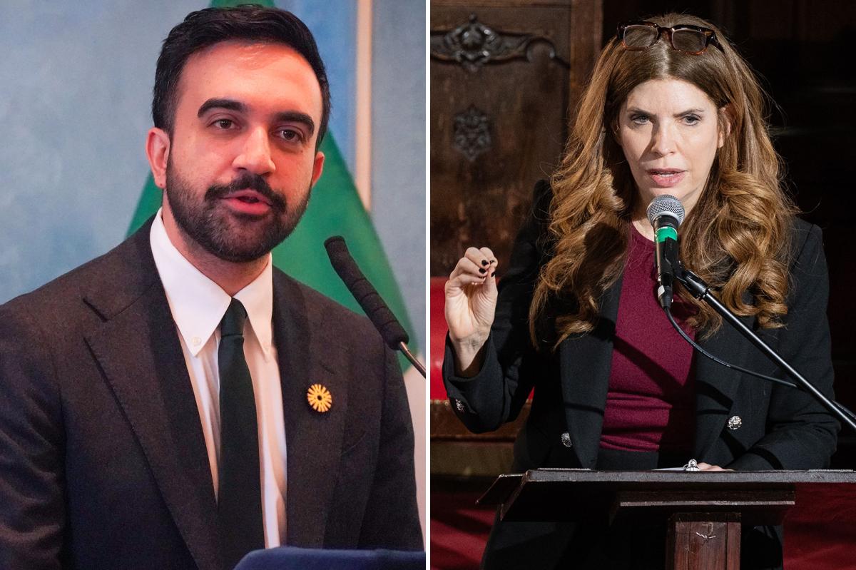 Exclusive | Zohran Mamdani presses NYC Council to drain city's rainy day fund