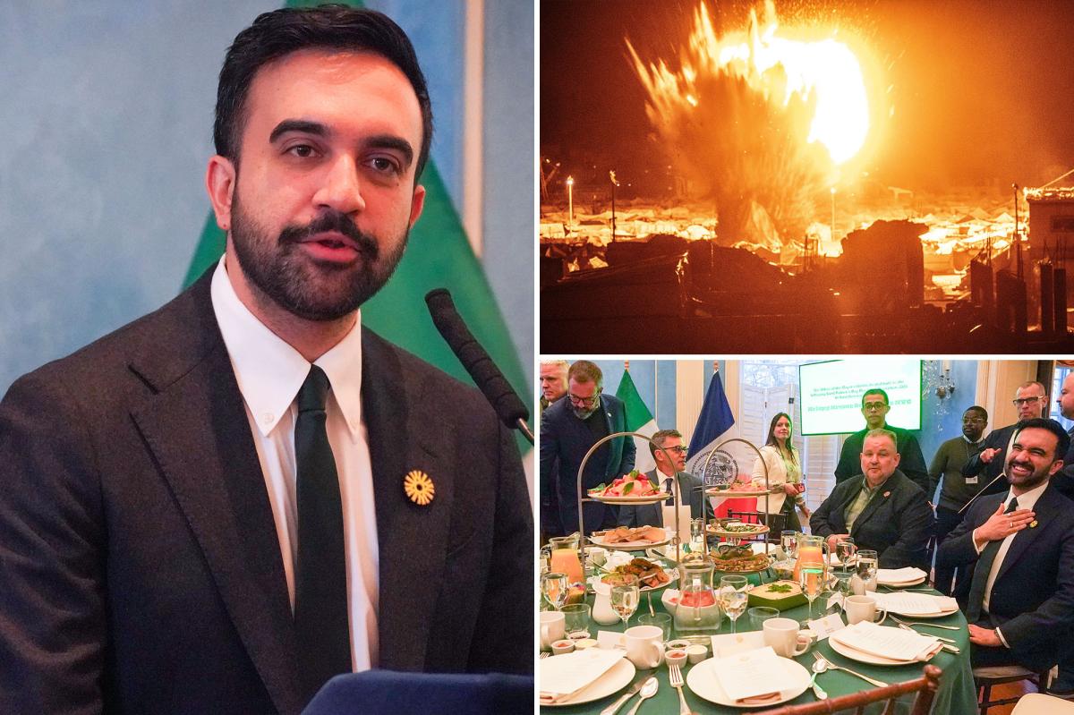 NYC Mayor Zohran Mamdani rips Palestinian 'genocide' at St. Patrick's Day event