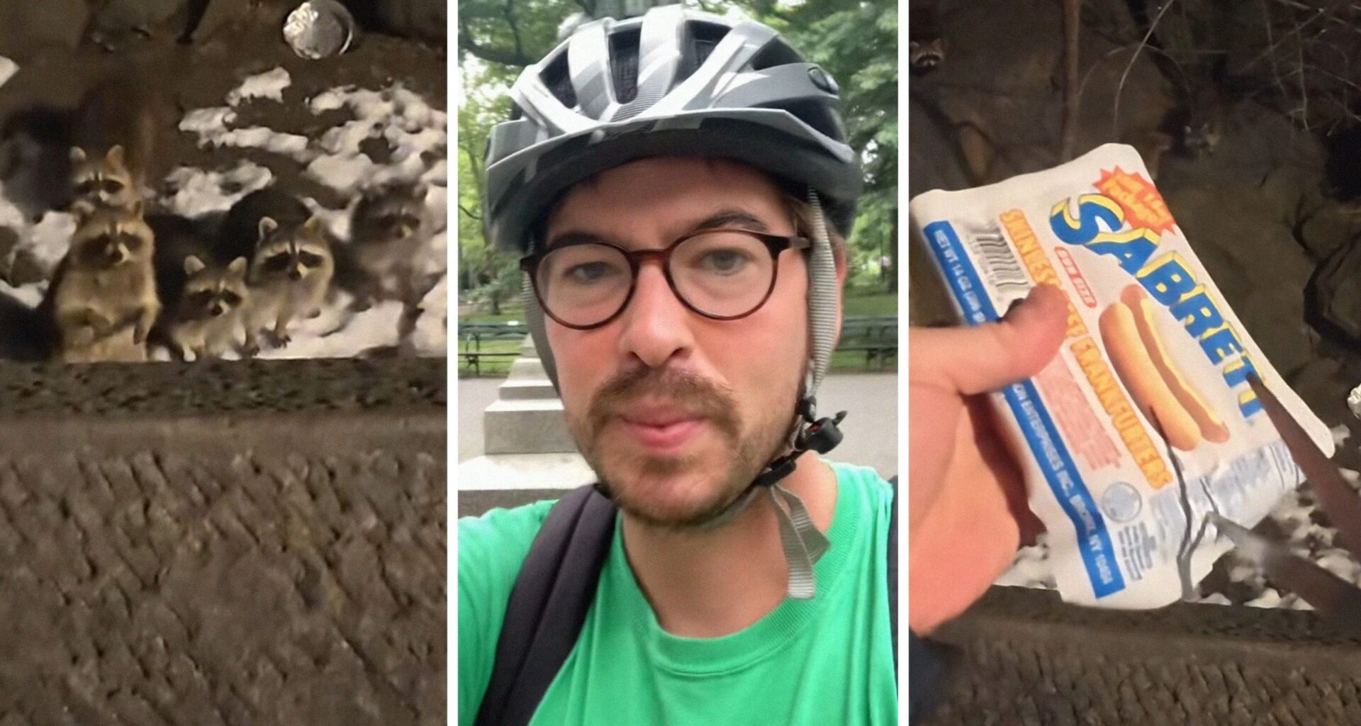 racoons at the park (l) man shares visit to central park (c) sabrett hot dogs (r)