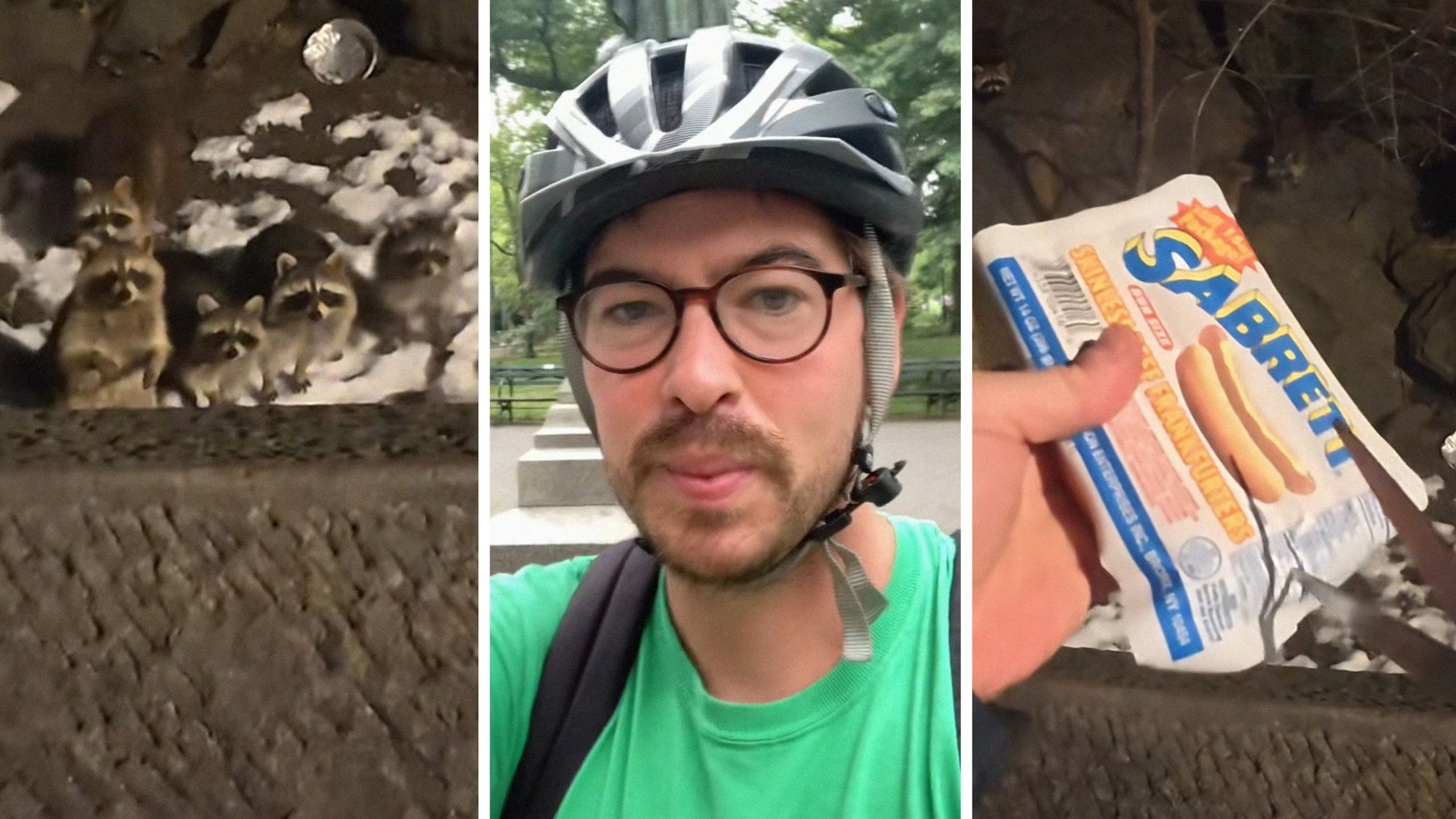 racoons at the park (l) man shares visit to central park (c) sabrett hot dogs (r)