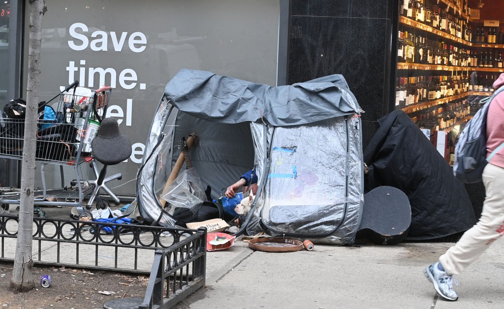 A homeless man sleeping in a tent next to a shopping cart on a city street, with a dog next to him.
