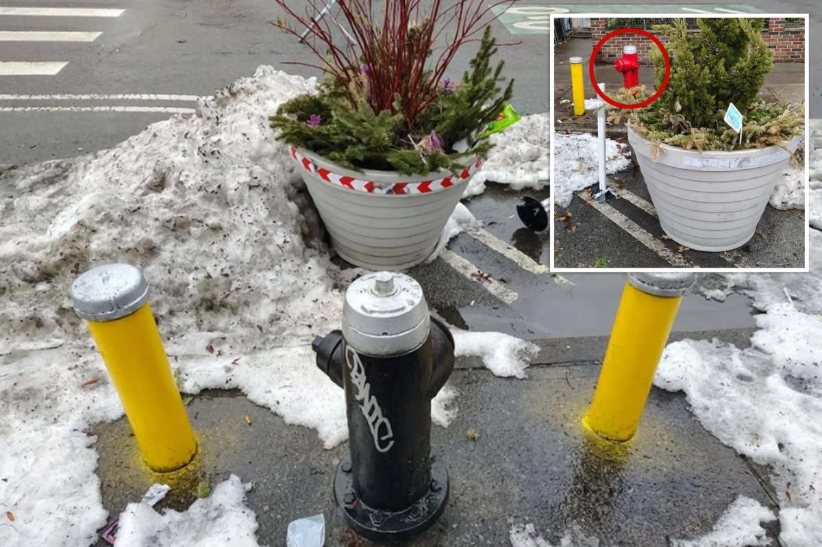 NYC's bizarre solution to illegal hydrant parking has locals fuming