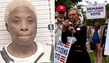 Illegal immigrants from Africa, India and China are voting in US elections — here's how they're doing it