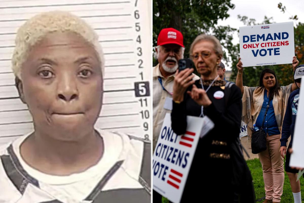 Illegal immigrants from Africa, India and China are voting in US elections — here's how they're doing it