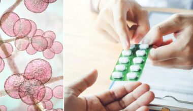 Inside New York's 'superbug' crisis — and the bad habit that's fueling antibiotic resistance