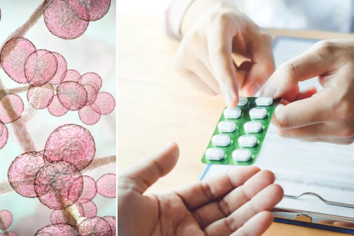 Inside New York's 'superbug' crisis — and the bad habit that's fueling antibiotic resistance