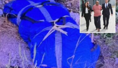 Husband, 75, busted after dismembered remains of his much-younger wife found scattered in NYC: cops