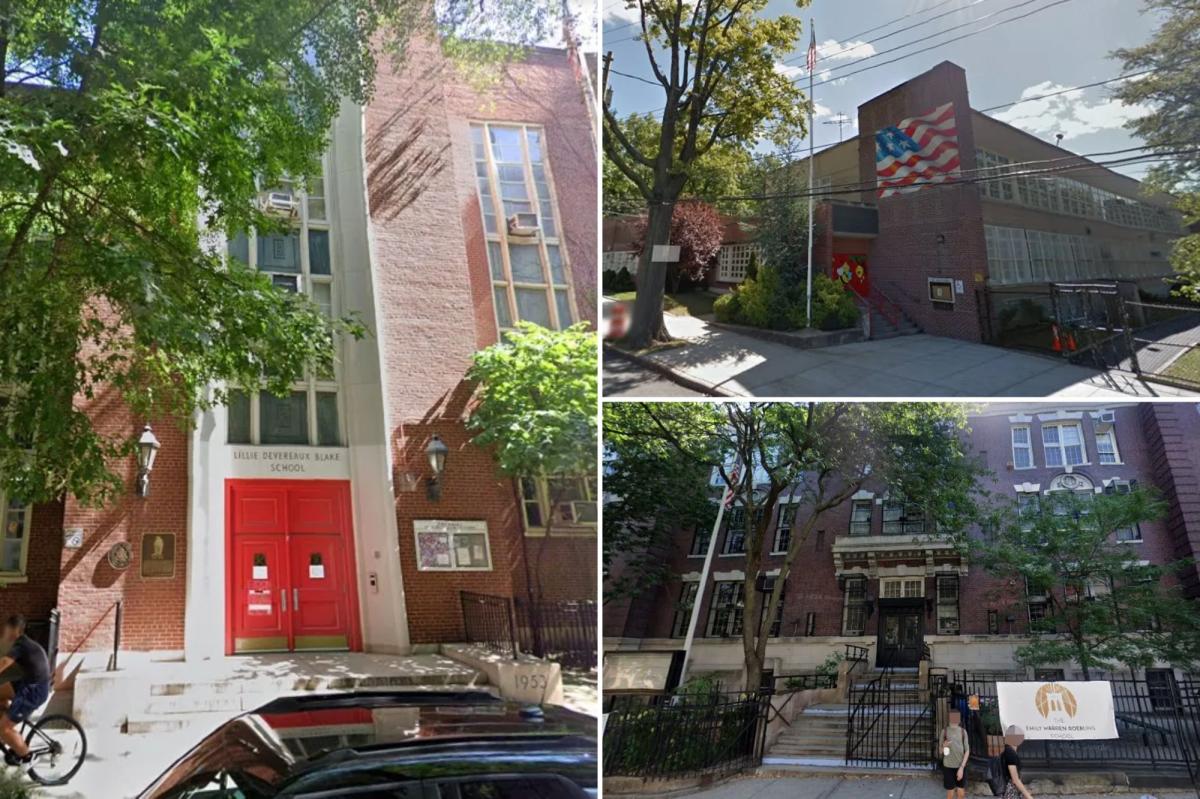 'Racist' zoning blocks poorer minority students in NY from best public elementary schools: study