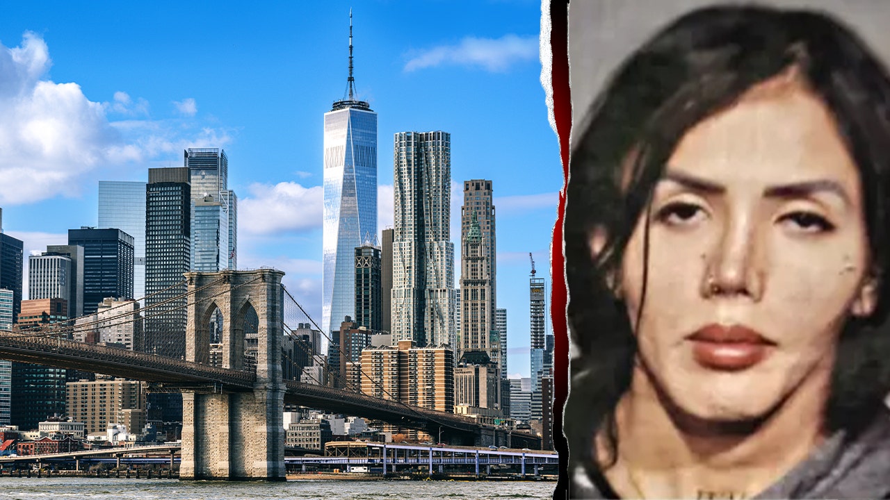 DHS slams Manhattan DA's plea deal for illegal alien in child rape case