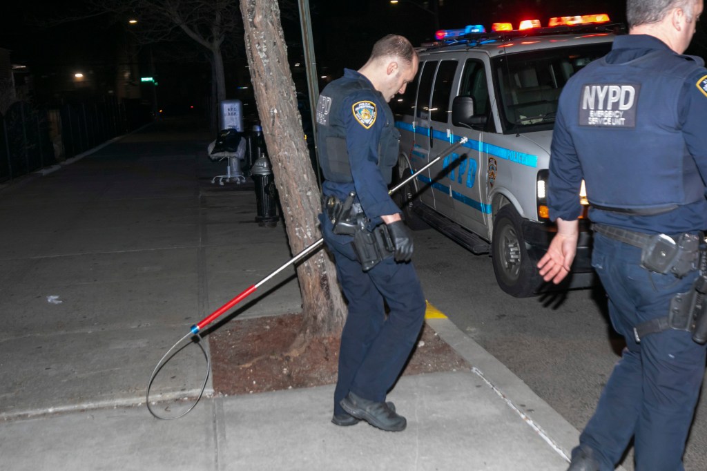 A 28-year-old woman suffered bite wounds to her arm, cops said.