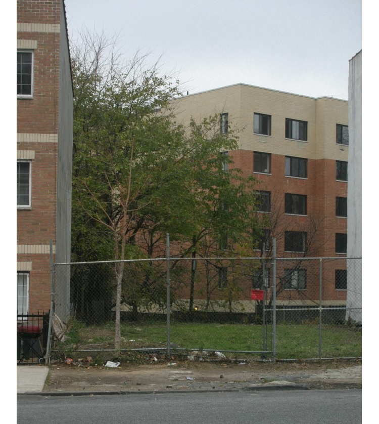 an empty lot with grass