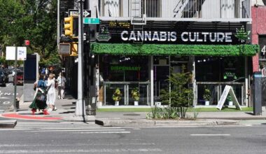 Is New York's cannabis business really flying high?