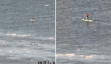 Paddleboarder wearing backpack cruises along the icy Hudson River: video