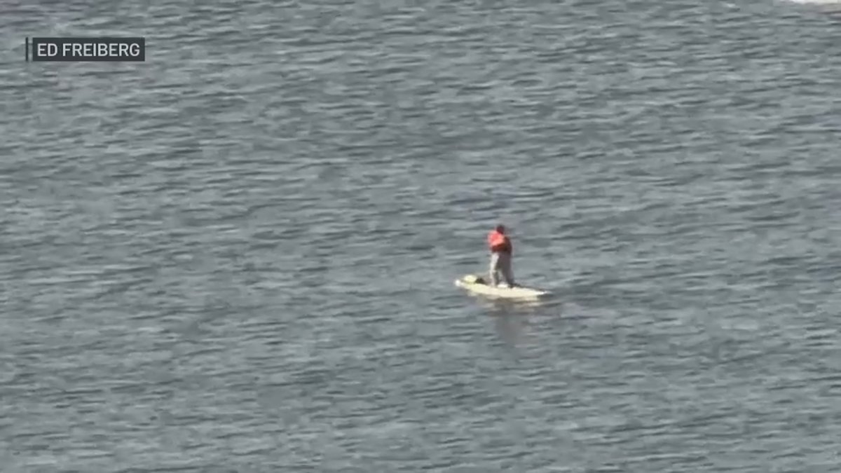 Paddleboarder seen cruising through Hudson River off NYC – NBC New York