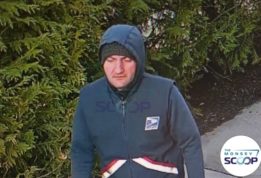 Gabriel Stan, the postal worker charged with assaulting a 4-year-old, wearing a hooded jacket with a USPS emblem.