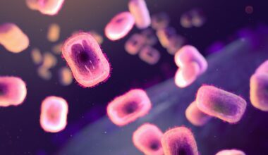 New York City reports 1st clade I mpox case