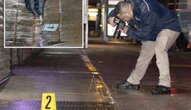 Off-duty NYPD cop shoots man in the head after tracking his wife's stolen car: sources