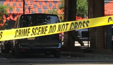 BREAKING: Driver Kills East Side Pedestrian, Flees