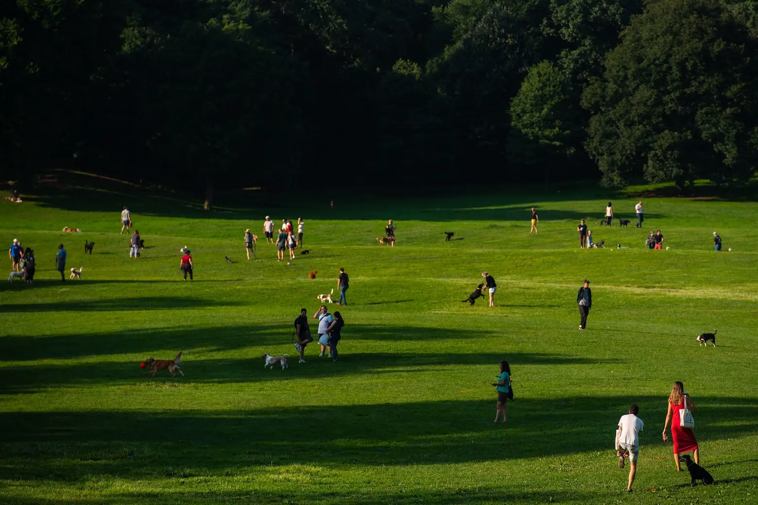 NYC announces $50M to rebuild 10 parks in underserved neighborhoods
