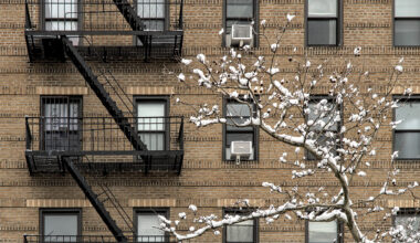 A brick NYC residential rental building with black metal fire escapes and several windows. In front, a tree with bare branches is covered in patches of snow, while a couple of air conditioning units sit in the windows.