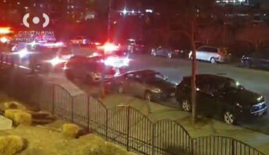 Dog fatally shot by NYPD officer after it attacked its owner in Queens