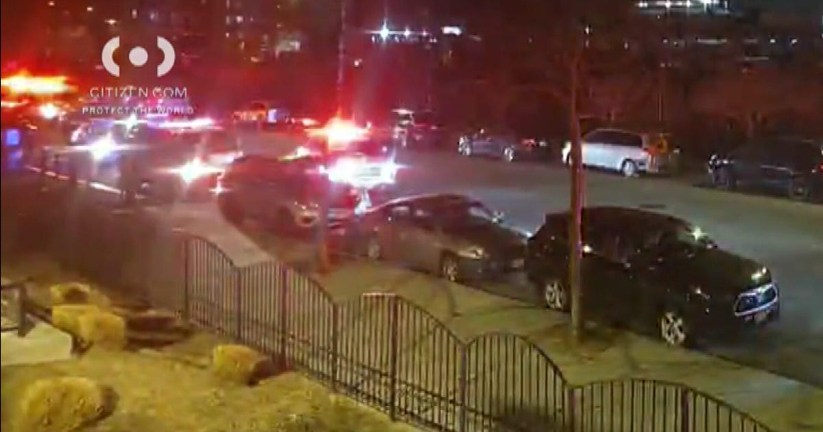 Dog fatally shot by NYPD officer after it attacked its owner in Queens