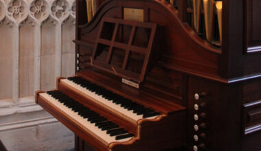 The Queen's organ (Mander, 2013)