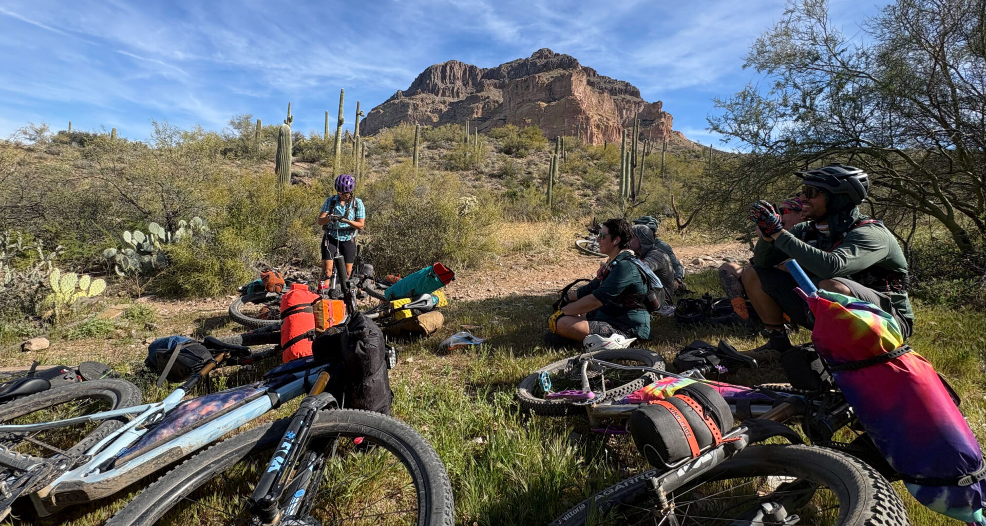 Seeking Shade at the 2026 Queen's Ransom