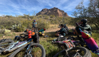Seeking Shade at the 2026 Queen's Ransom