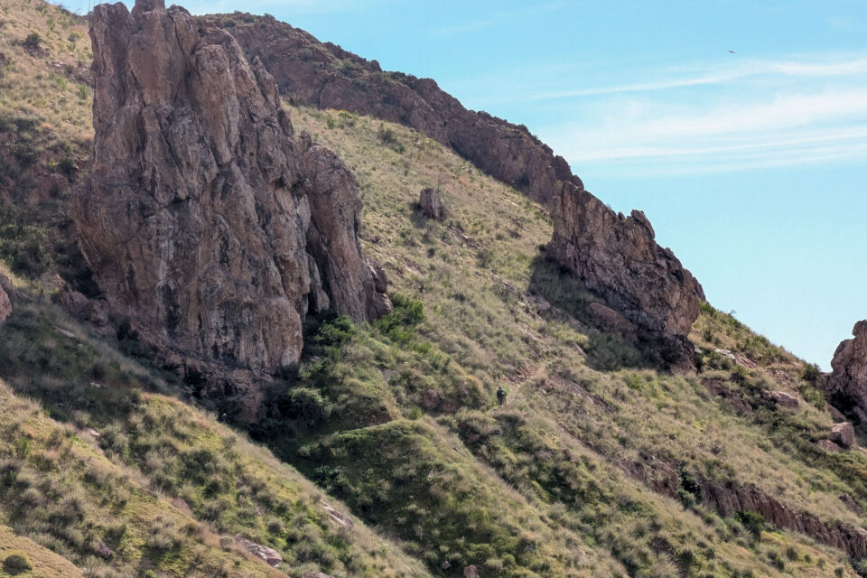 2026 Queens Ransom Report