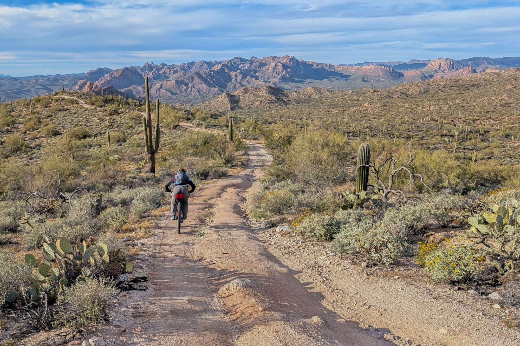 2026 Queens Ransom Report