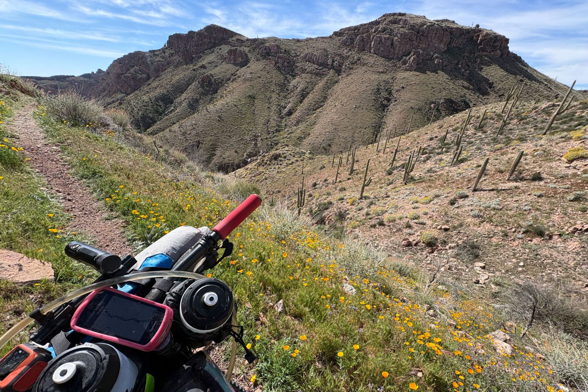 2026 Queens Ransom Report