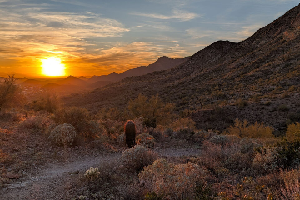 2026 Queens Ransom Report