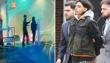 Teen charged in shocking slashing of NYC mom tried to hop plane to Peru, flipped out at airport before bust: sources