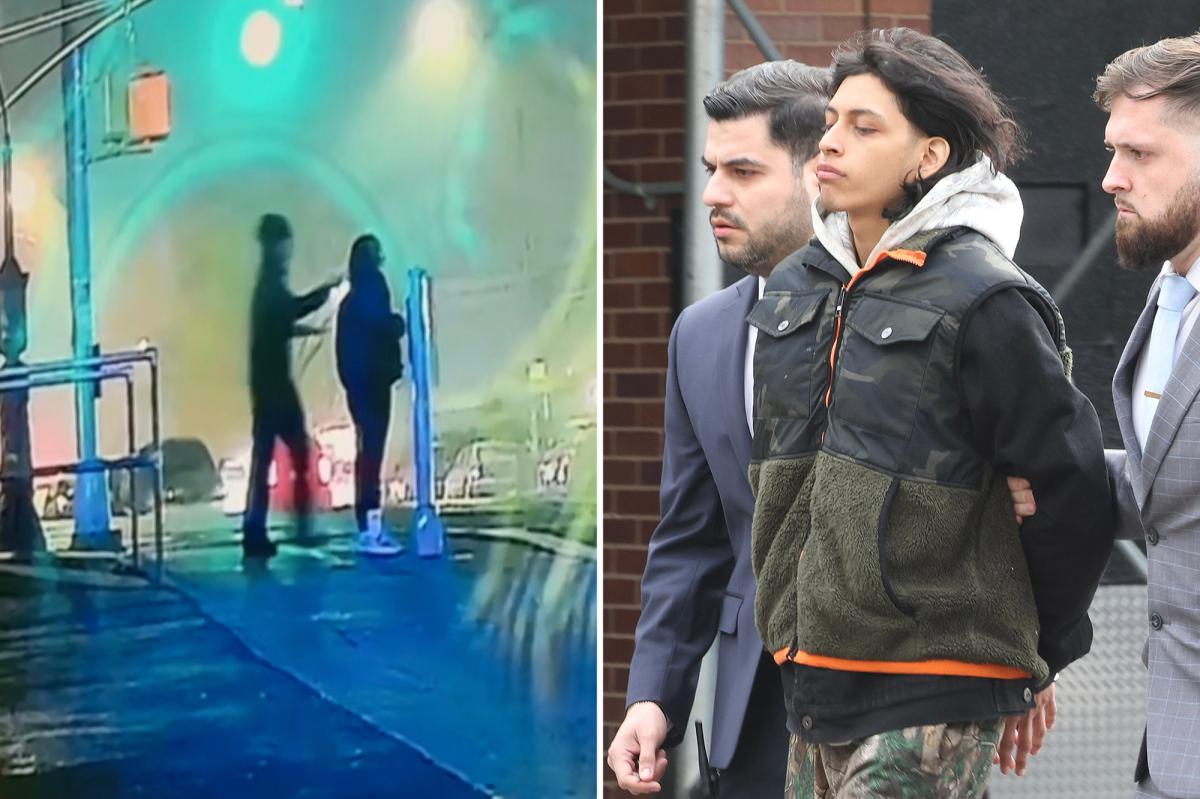 Teen charged in shocking slashing of NYC mom tried to hop plane to Peru, flipped out at airport before bust: sources