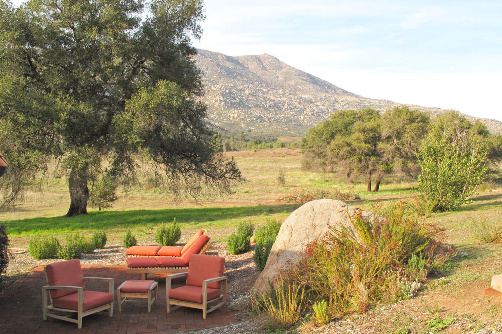 an exterior of the resort's grounds showing a tree and open fields