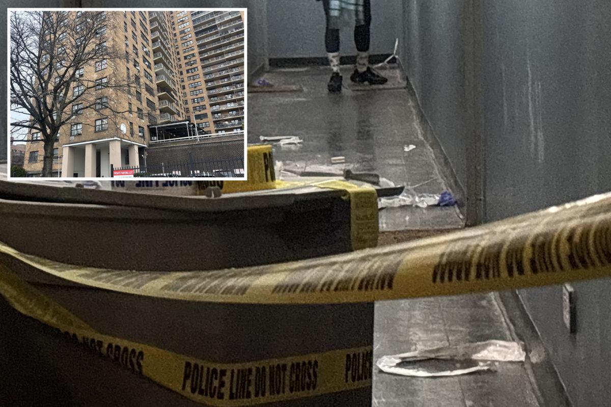 Deranged NYC woman charged in deadly scissor attack on elderly roommates: cops