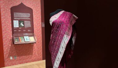 The Sartorial Is Political in “The New York Sari”