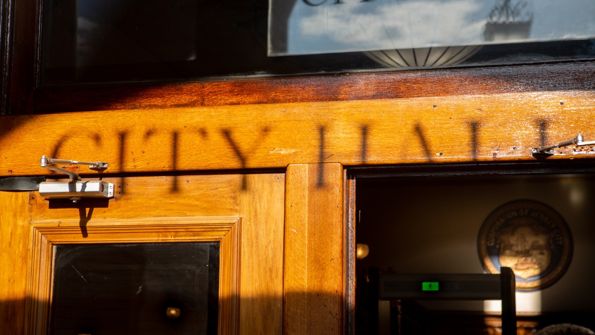 City Council Votes Set This Week for Heights Bike Lane, Bird-Friendly Designs