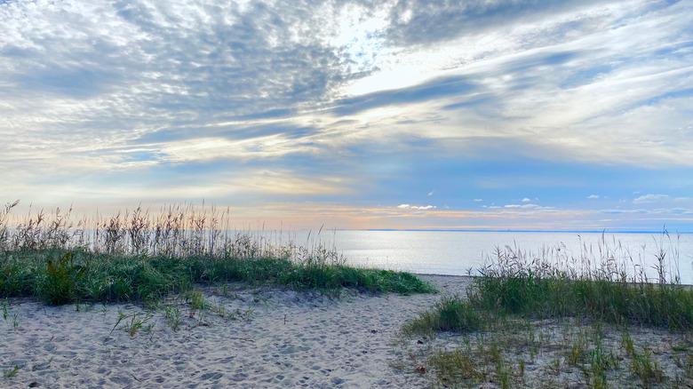 View of a sandy path to the beach at Sherwood Island State Park