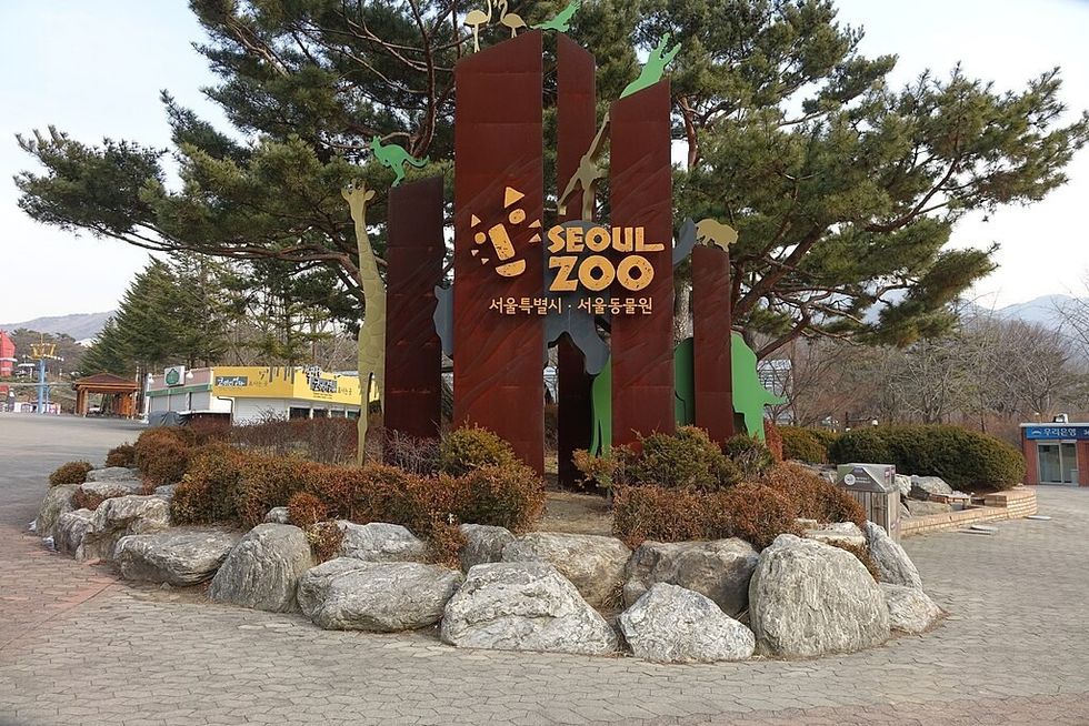 Seoul Zoo entrance sign with animal silhouettes and greenery.