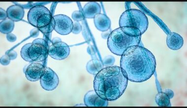 New COVID Variant Detected In NYC