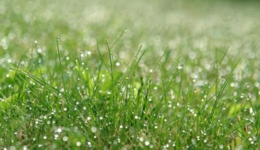 Week Of Rain Ahead For NYC As Temps Rise: See Forecast