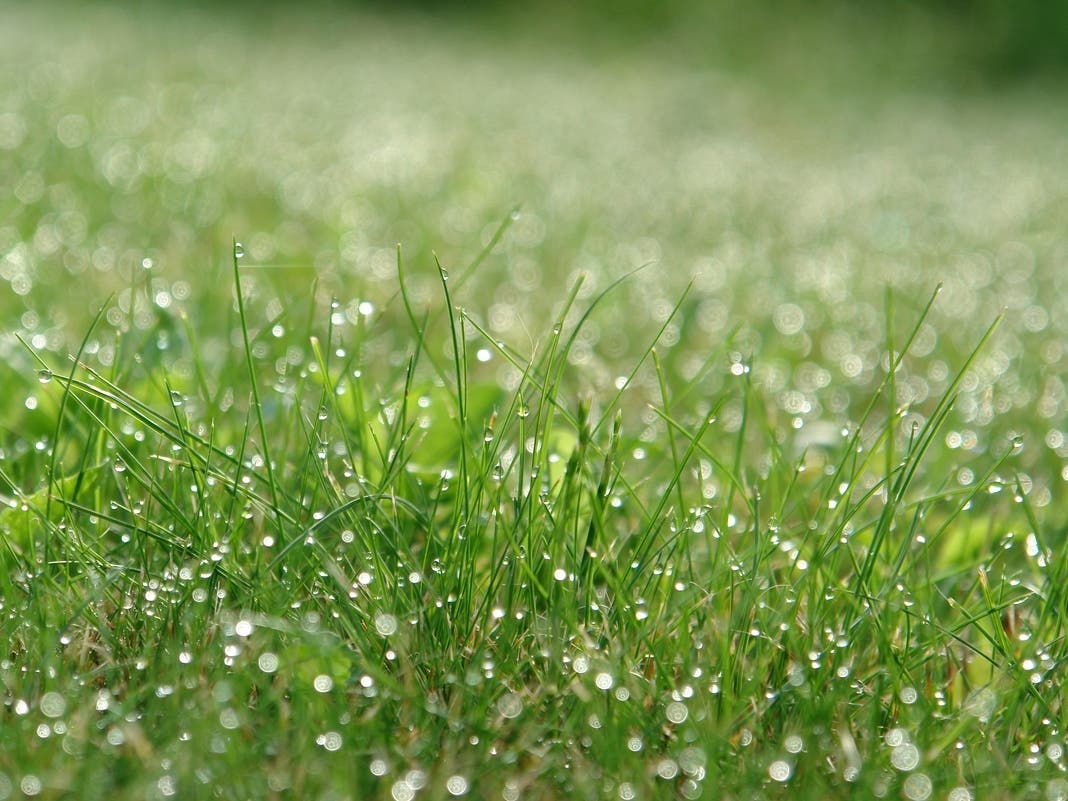 Week Of Rain Ahead For NYC As Temps Rise: See Forecast