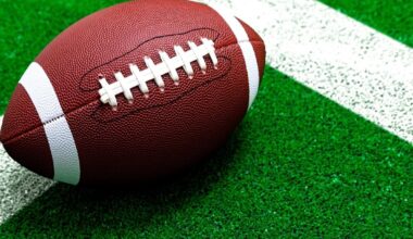 Steve Tisch Plans To Transfer NY Giants Ownership Stake To His Children